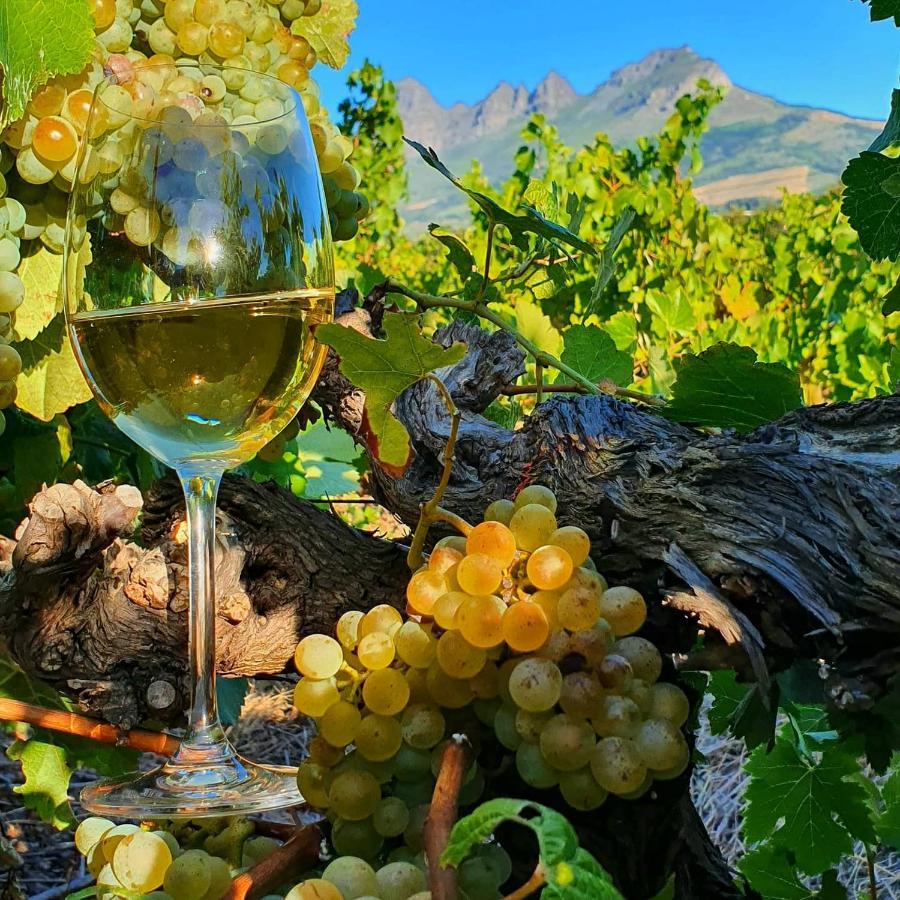 Raithby Winelands Historical Cottage Εξωτερικό φωτογραφία